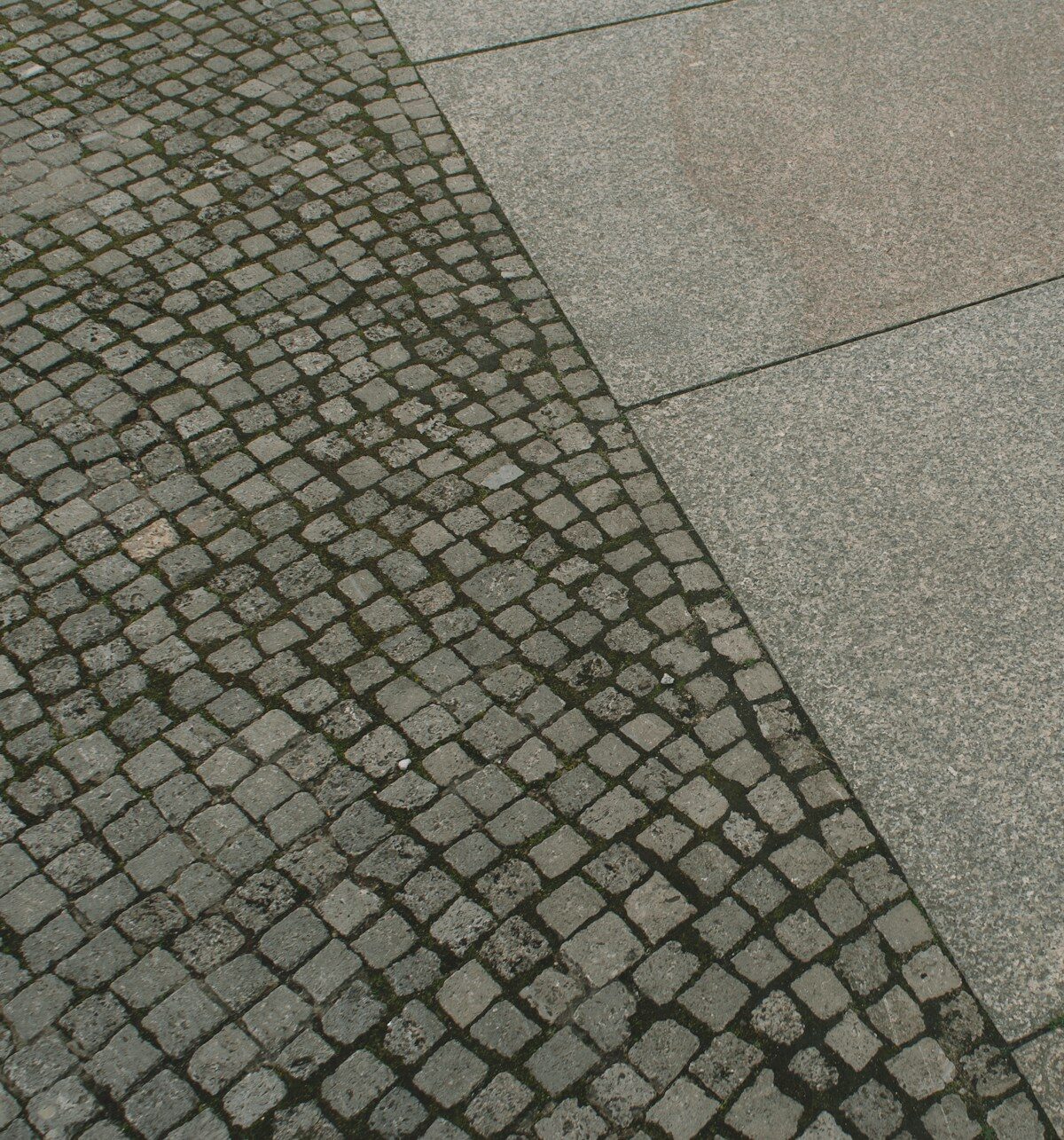 Opločnici i vrt slika